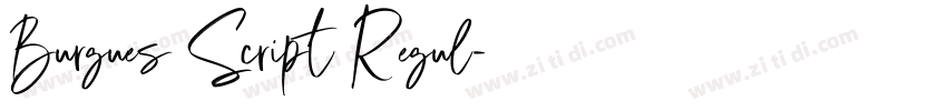 Burgues Script Regul字体转换